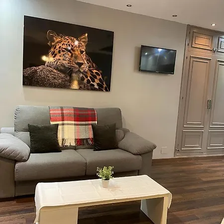 Luxury Occidental Puerto Banus Apartment Marbella