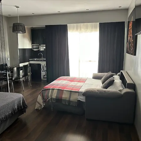 Luxury Occidental Puerto Banus Apartment Marbella
